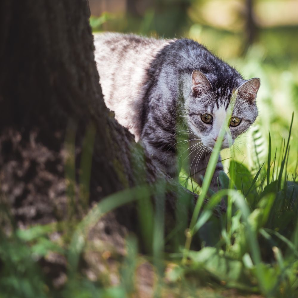 Photograph by Victor Stepanov