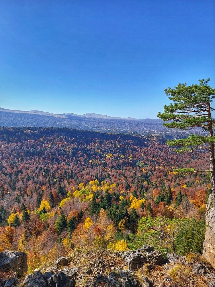 Photograph by Юлия Коробкова