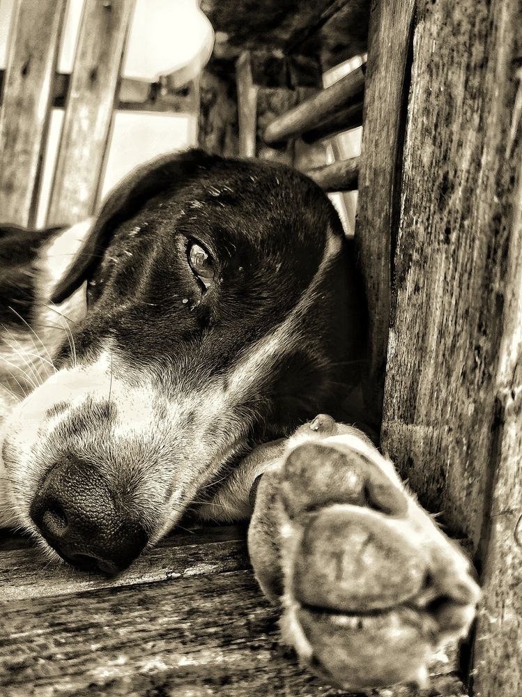 Фотография автора Julie Mishka