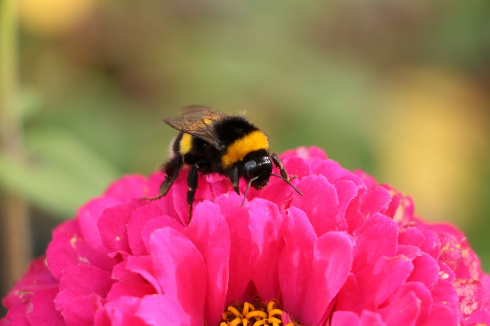 Photograph by Cengiz Yalcin