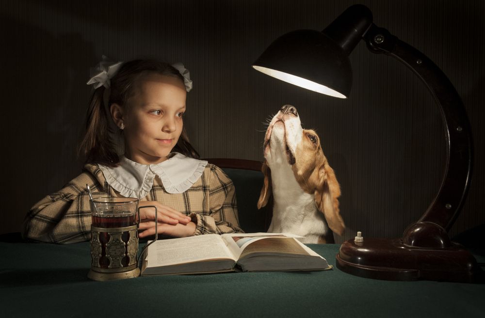 Photograph by Виктор Черкасов