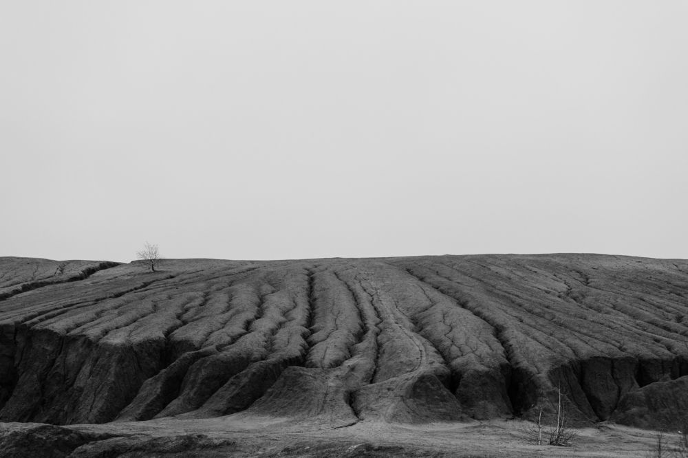 Photograph by Дмитрий Ефимов