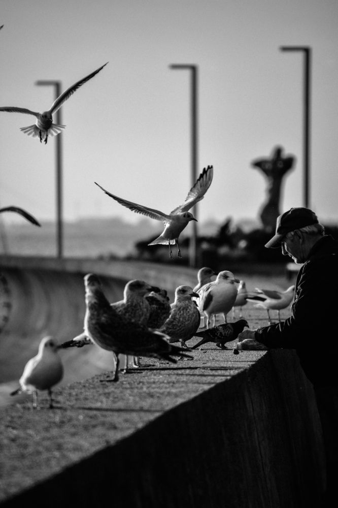 Photograph by Oliwia Janicka