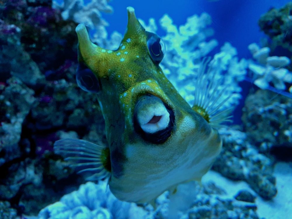 Photograph by Наталья Адалинская