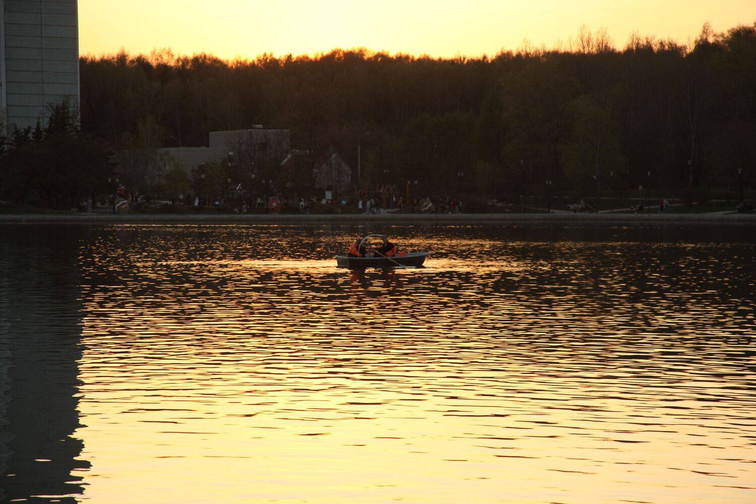 Photo #9806382