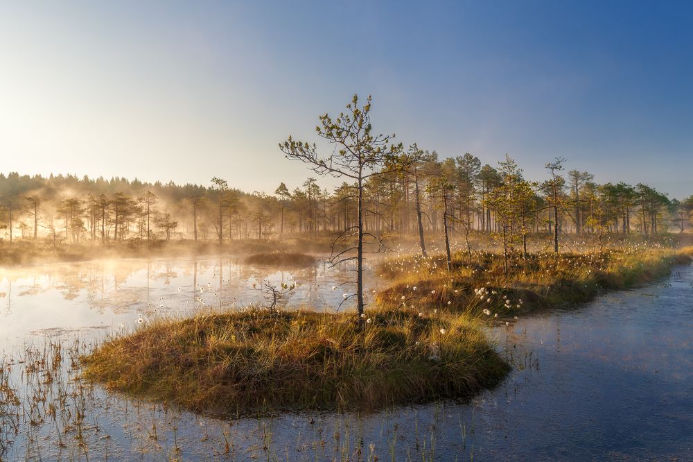 Photograph by Ольга Yarovenko
