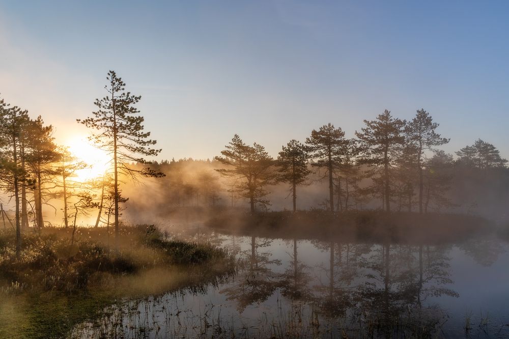 Photograph by Ольга Yarovenko
