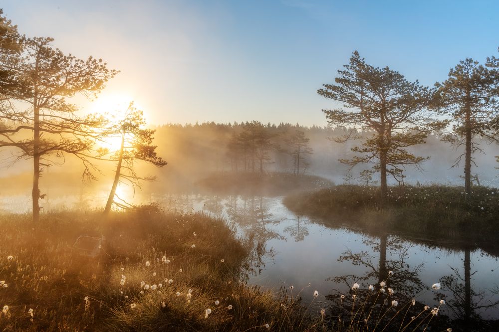 Photograph by Ольга Yarovenko