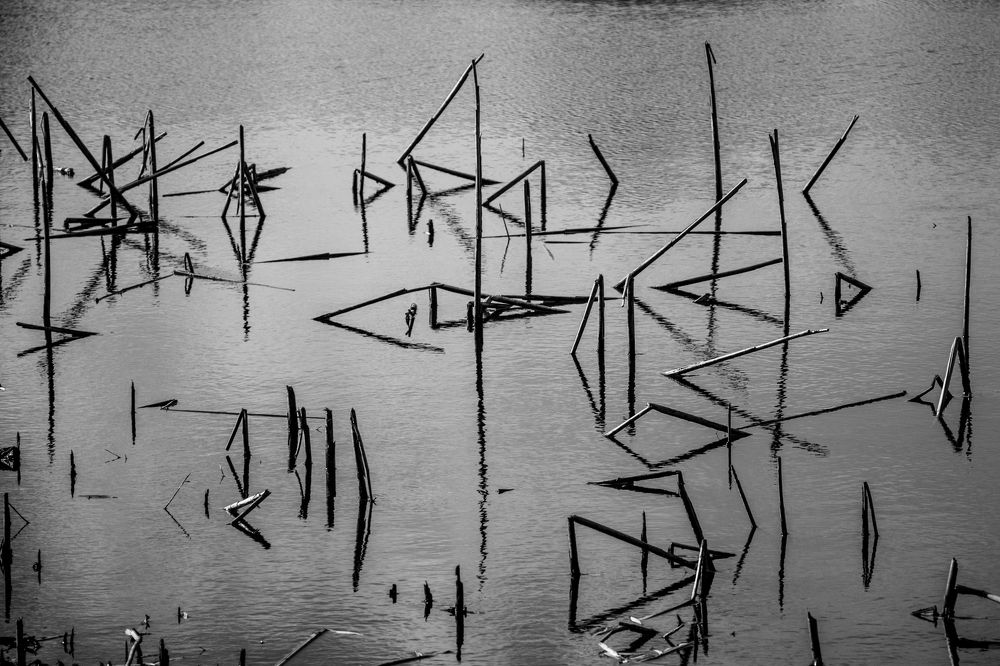 Photograph by Вероника Гаврилова