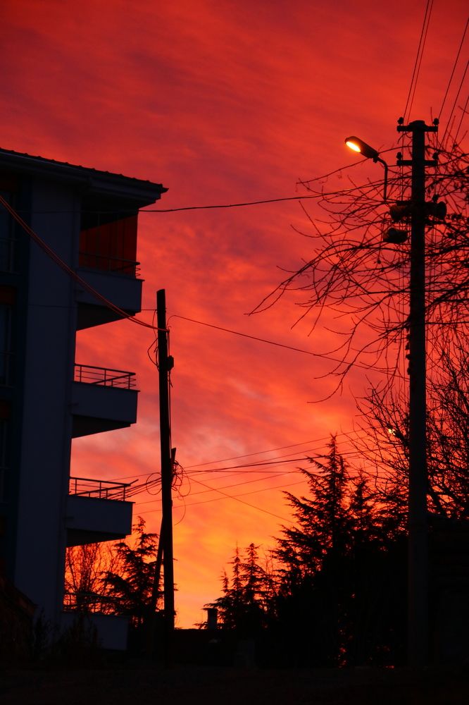 Photograph by Cengiz Yalcin