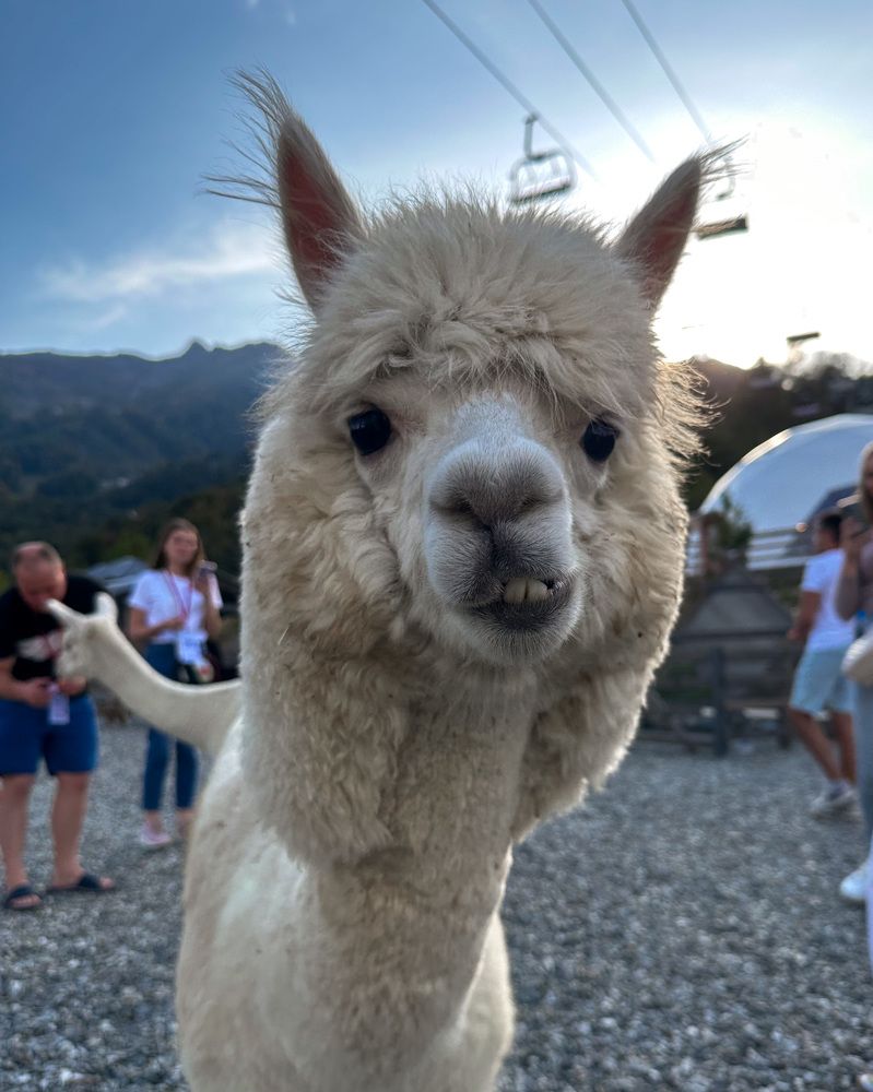 Photograph by Мария