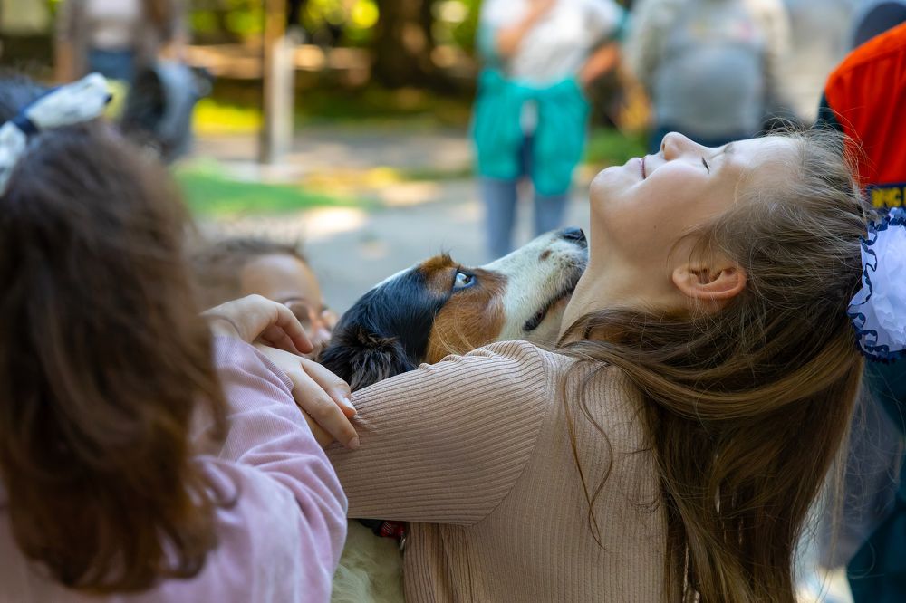 Фотография автора Vadim Svirin