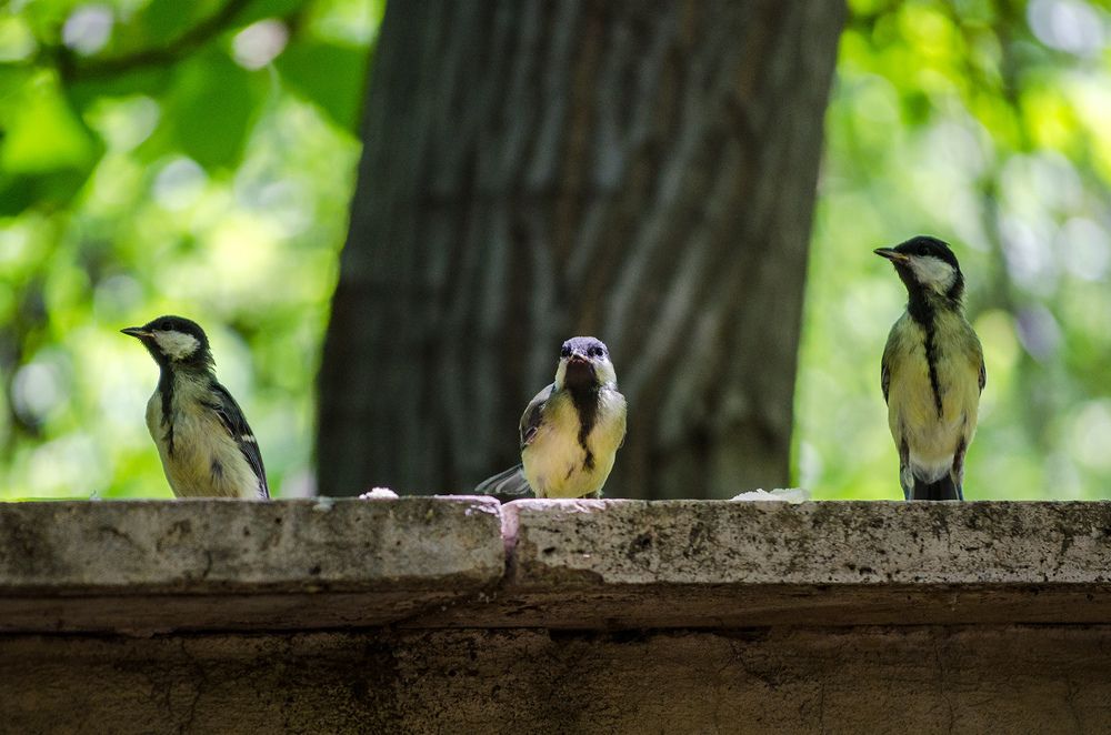 Photograph by Sahar Jafari