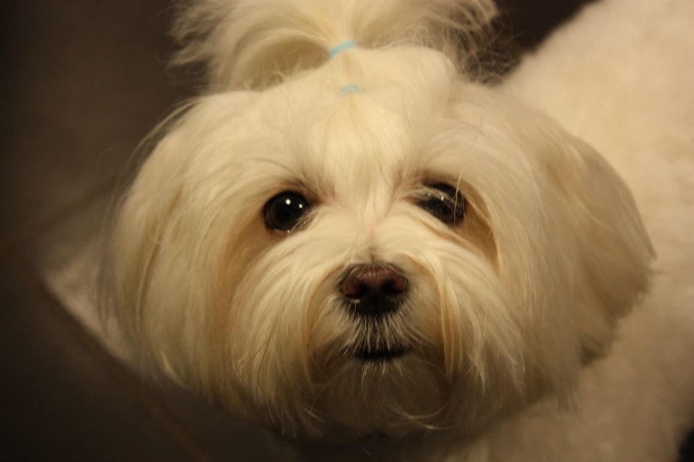 Фотография автора Мостовщикова Мария