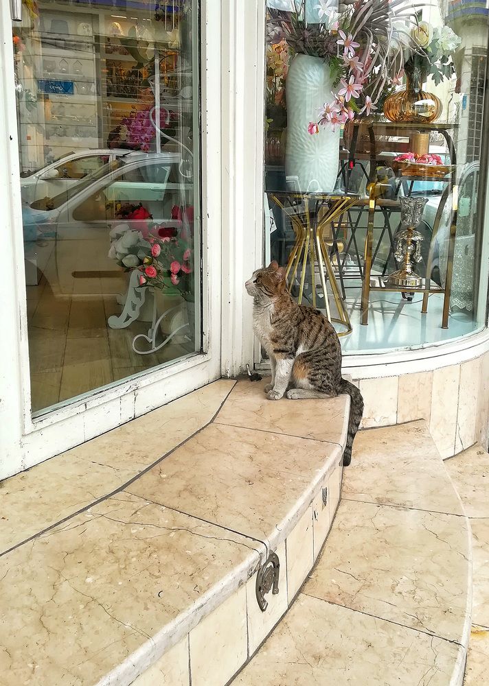 Photograph by Sahar Jafari