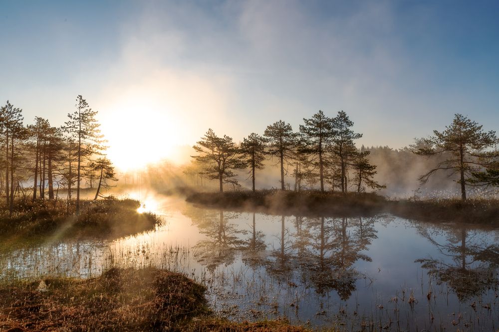 Photograph by Ольга Yarovenko