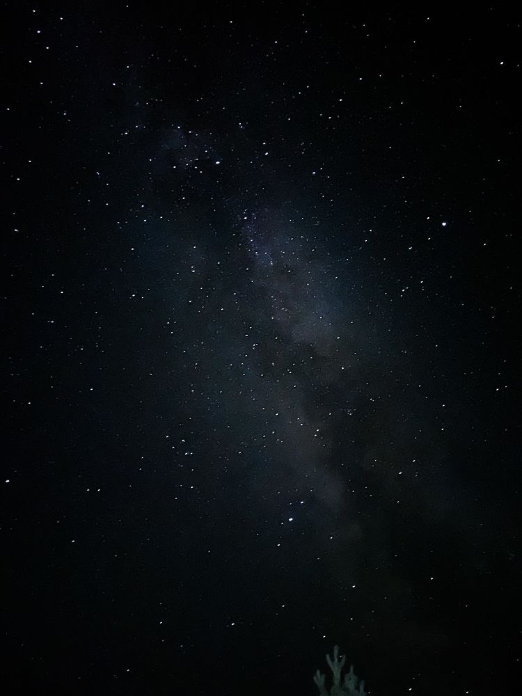 Photograph by Елена Чекменева