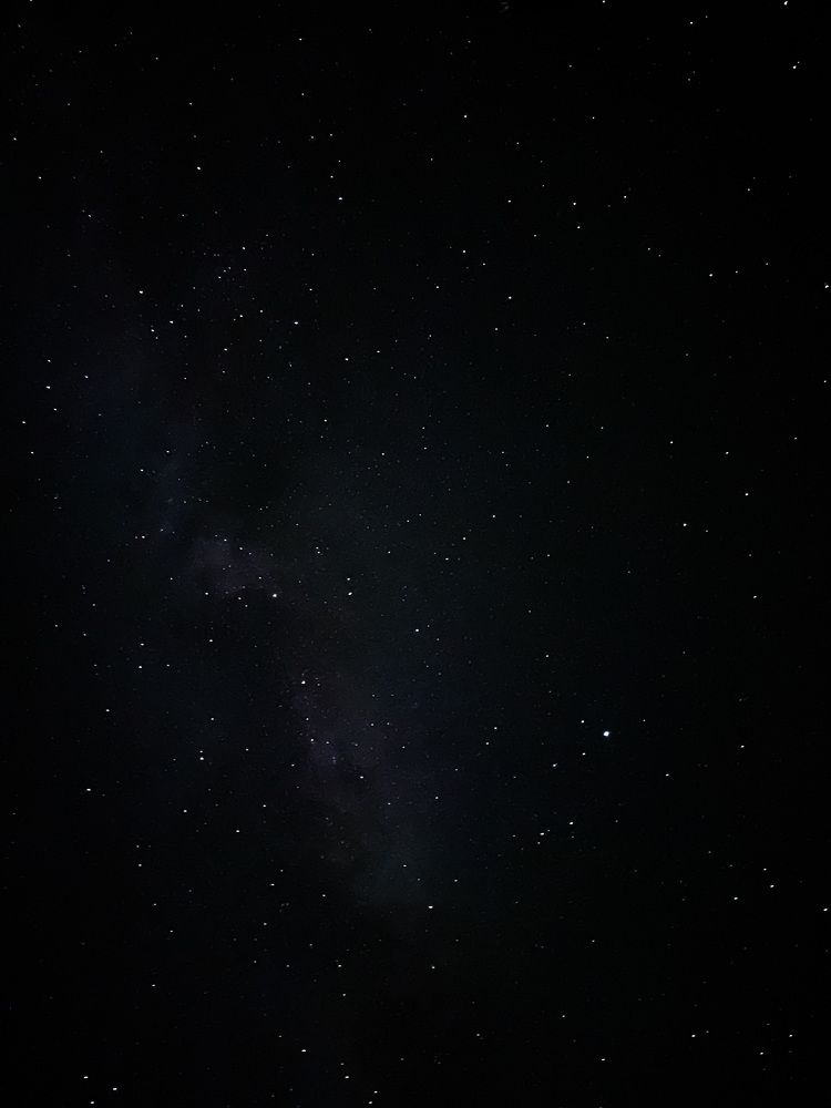 Photograph by Елена Чекменева