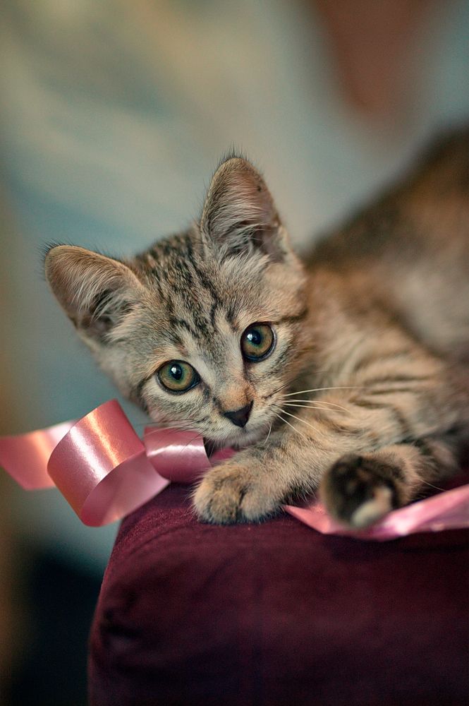 Photograph by Игорь Хижняк