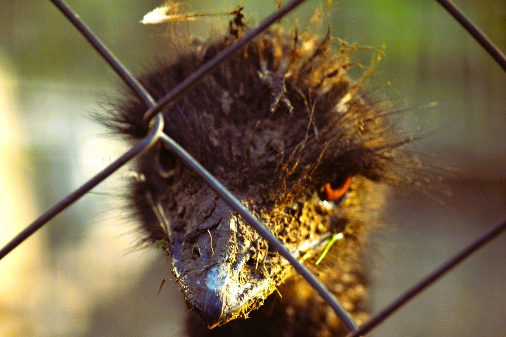 Photograph by Jozef Potocký