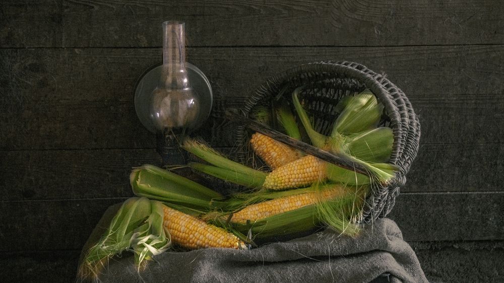 Photograph by Елена Пасажицкая