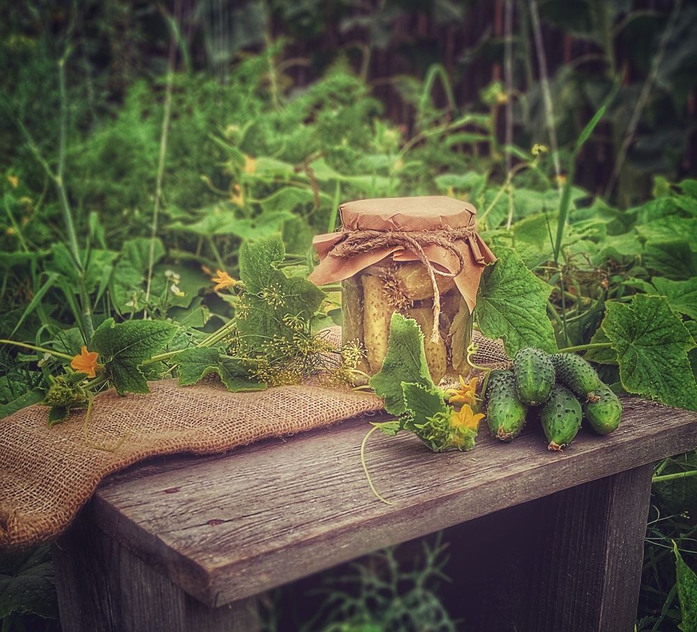 Фотография автора Екатерина Карасева