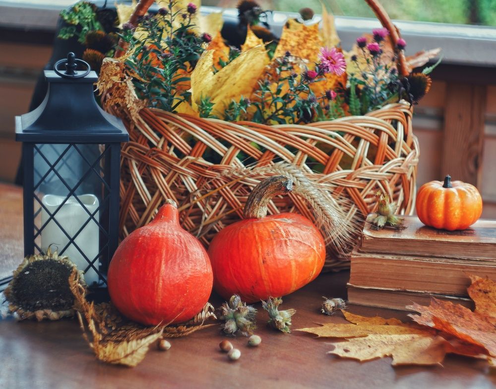 Фотография автора Екатерина Карасева