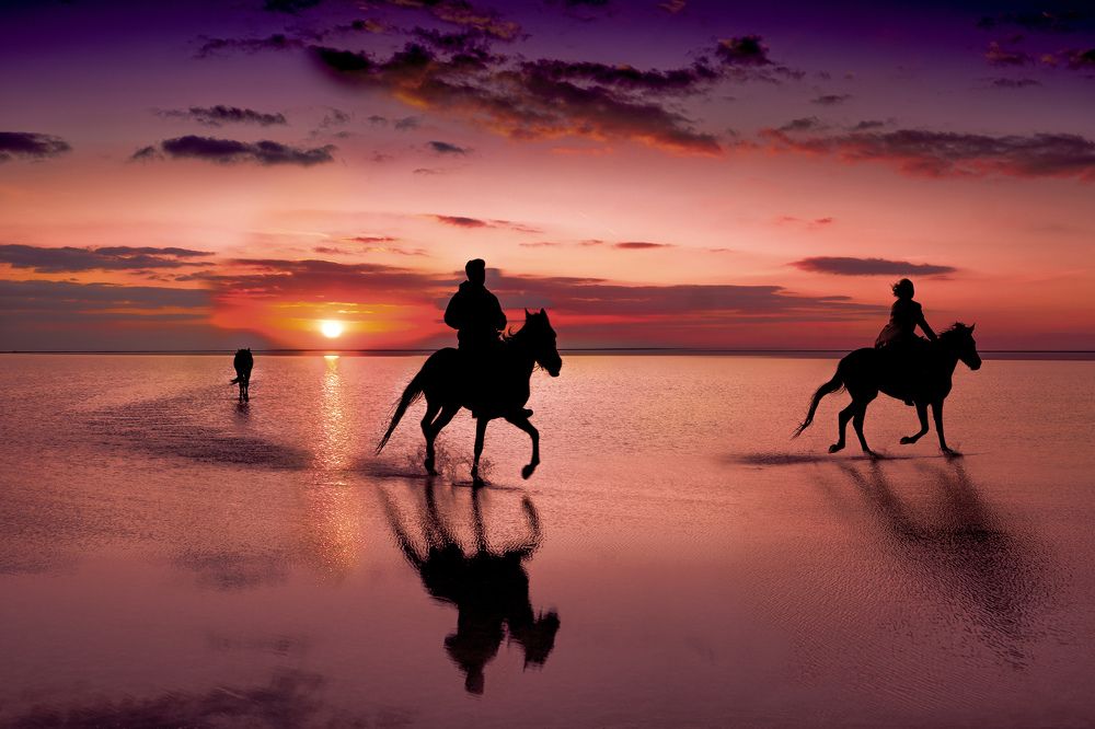 Photograph by Mustafa Sahin