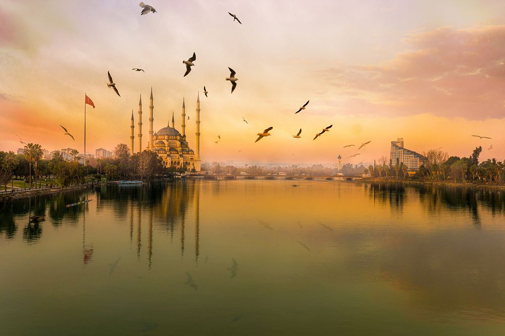 Photograph by Mustafa Sahin