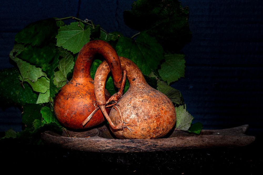 Photograph by Bao Huy Nguyen