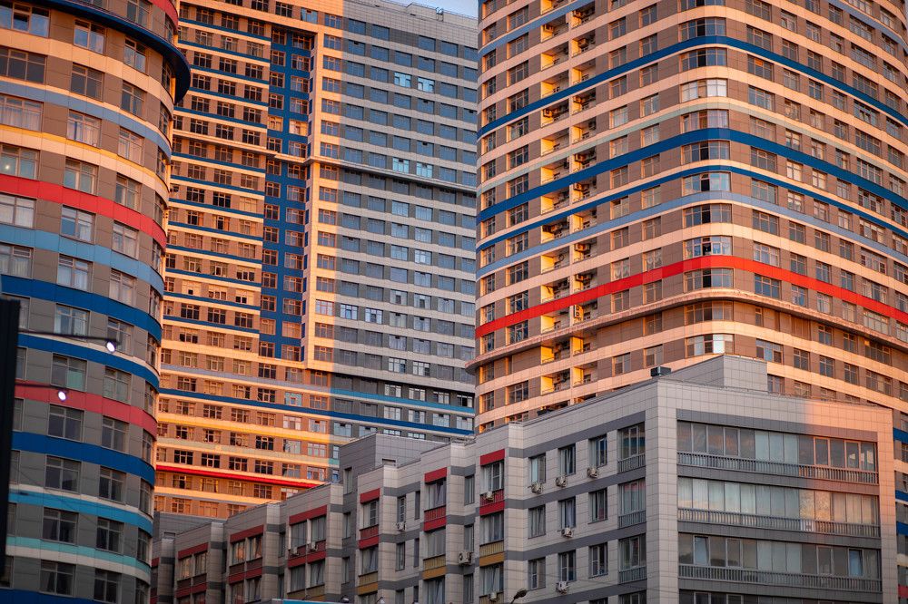 Фотография автора София Птица