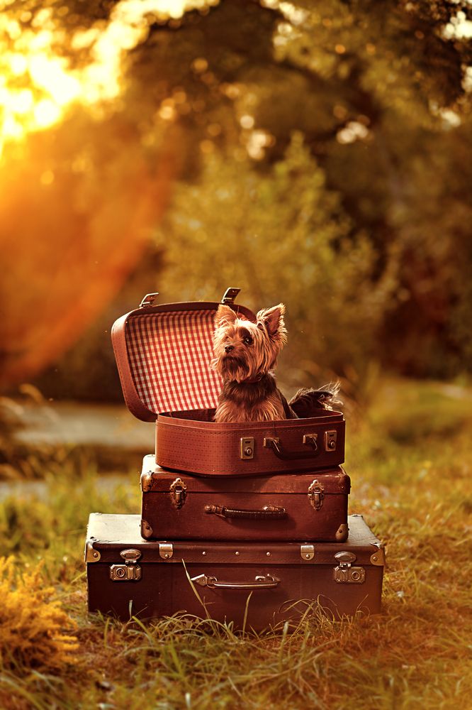 Photograph by Ольга Глазунова