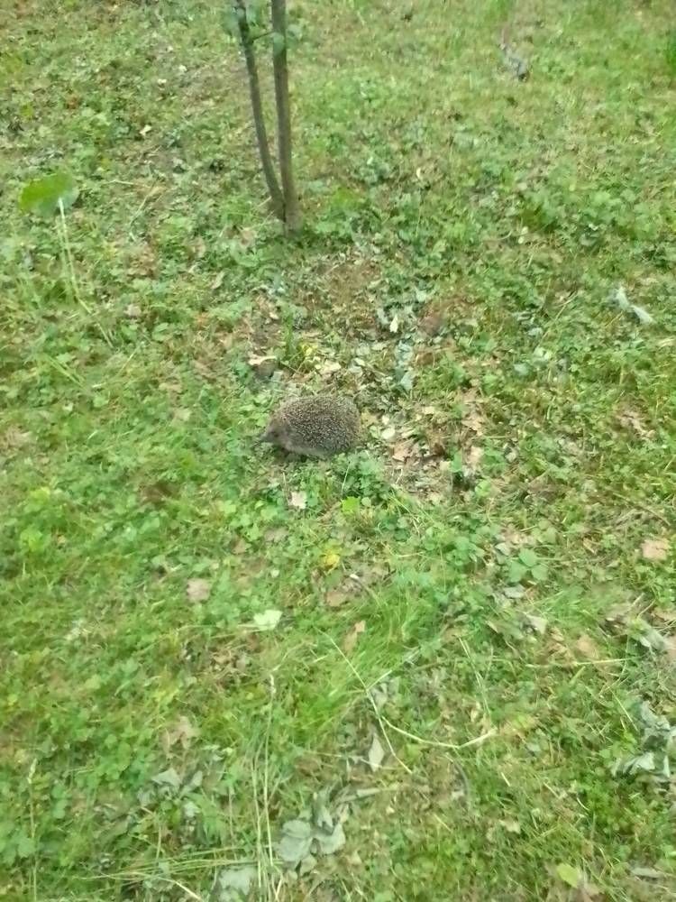 Photograph by Ольга Коркина