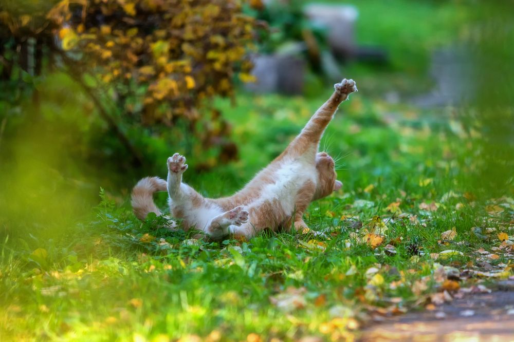 Photograph by Александр Пашеничев