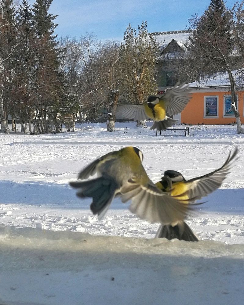 Photograph by Ирина Алпацкая