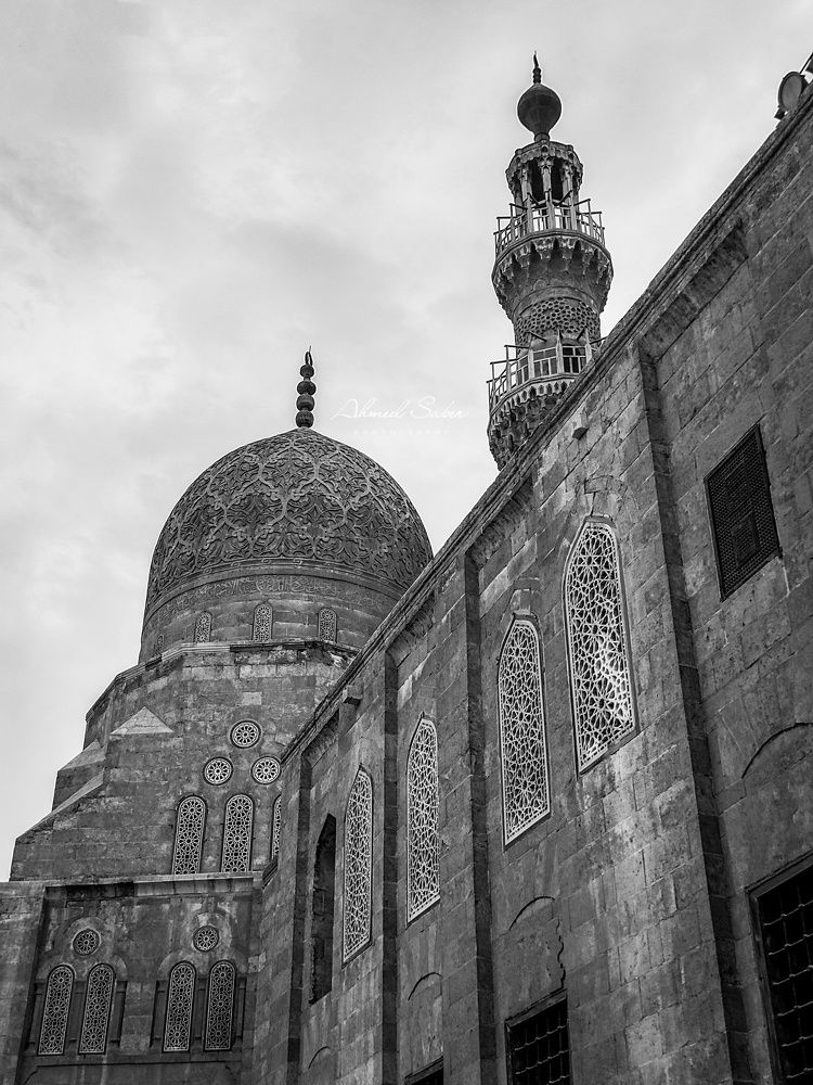 Photograph by Ahmed Sader