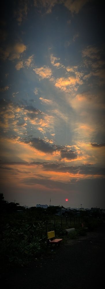Photo #9806993