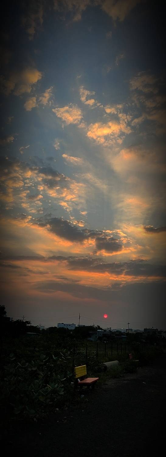 Photo #9806993