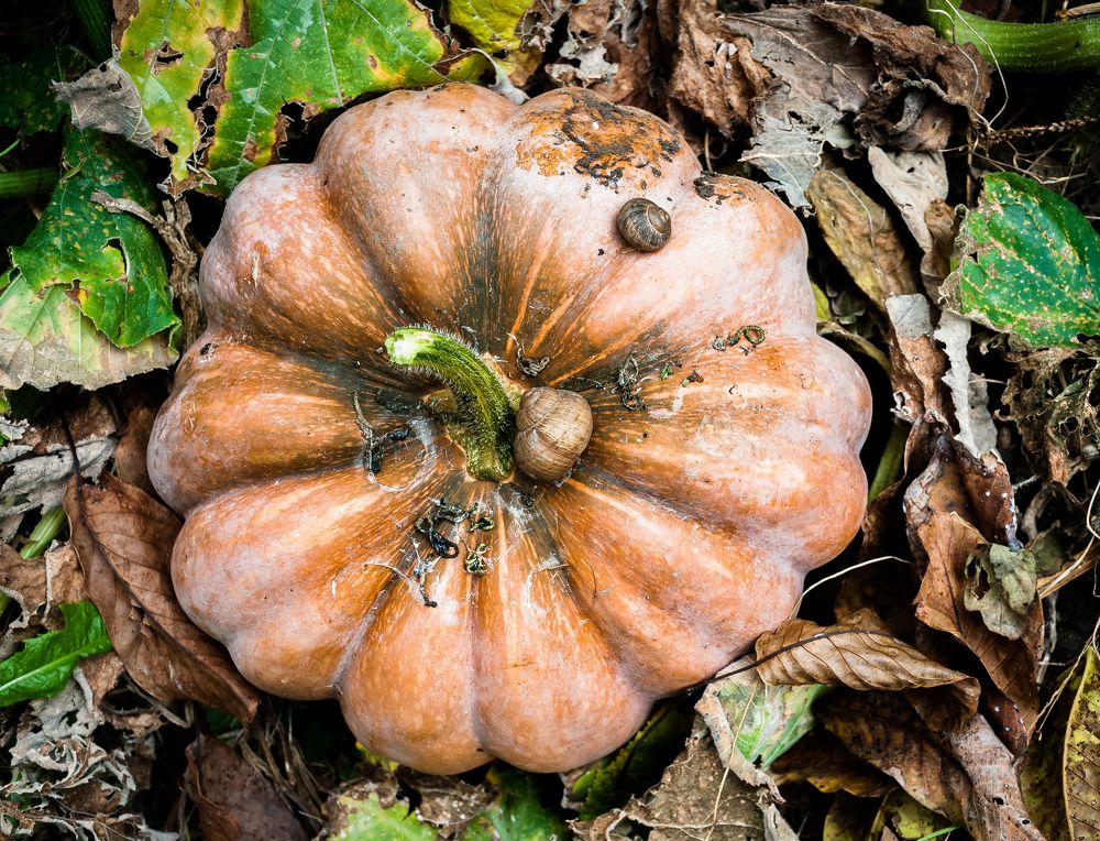 Photograph by Dragan Leles