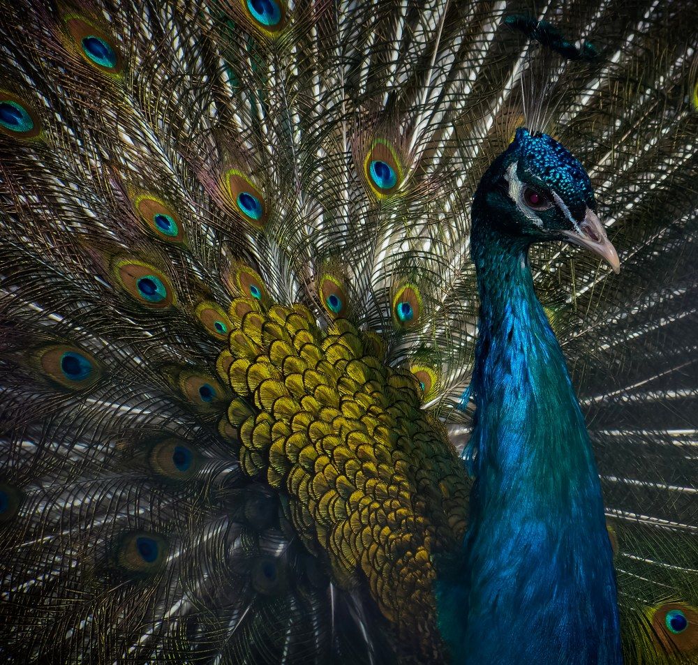 Photograph by Милана Минина