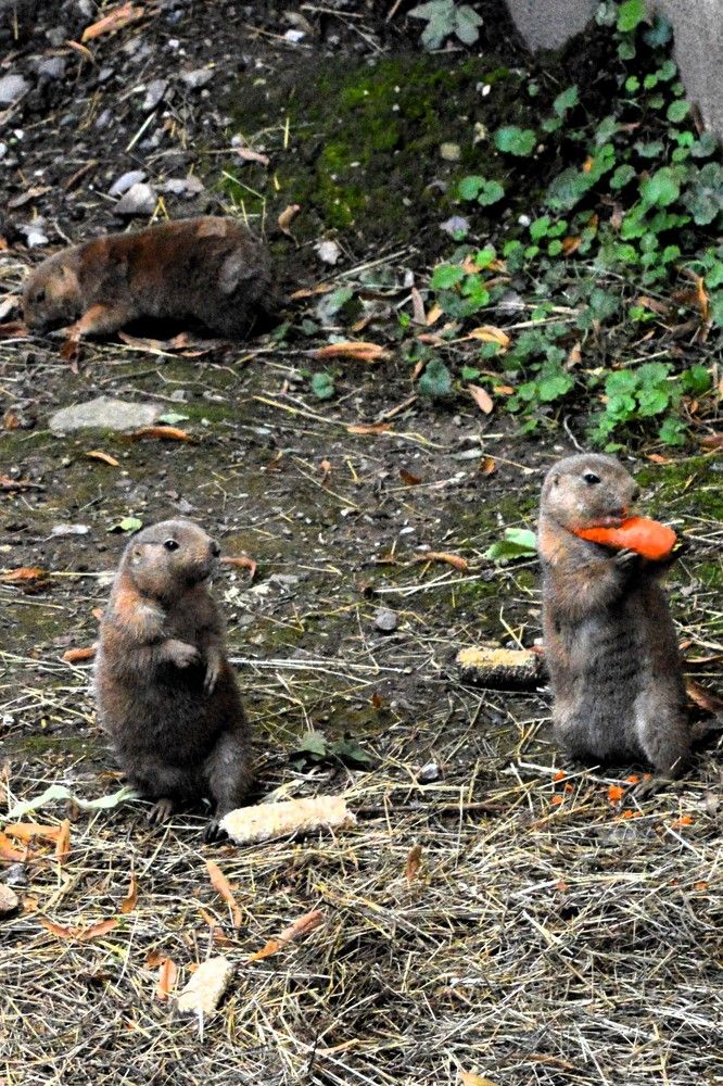 Photograph by Jozef Potocký