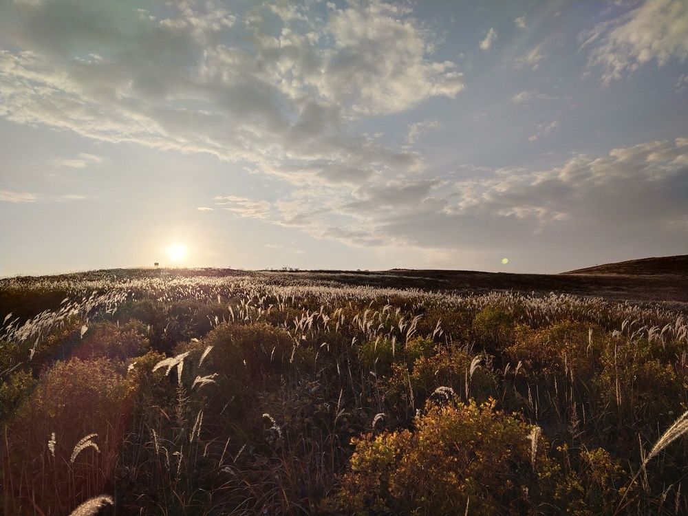 Photograph by Наталья Никитенко