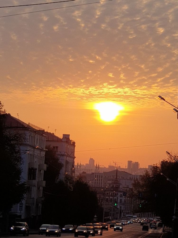 Photograph by Елена