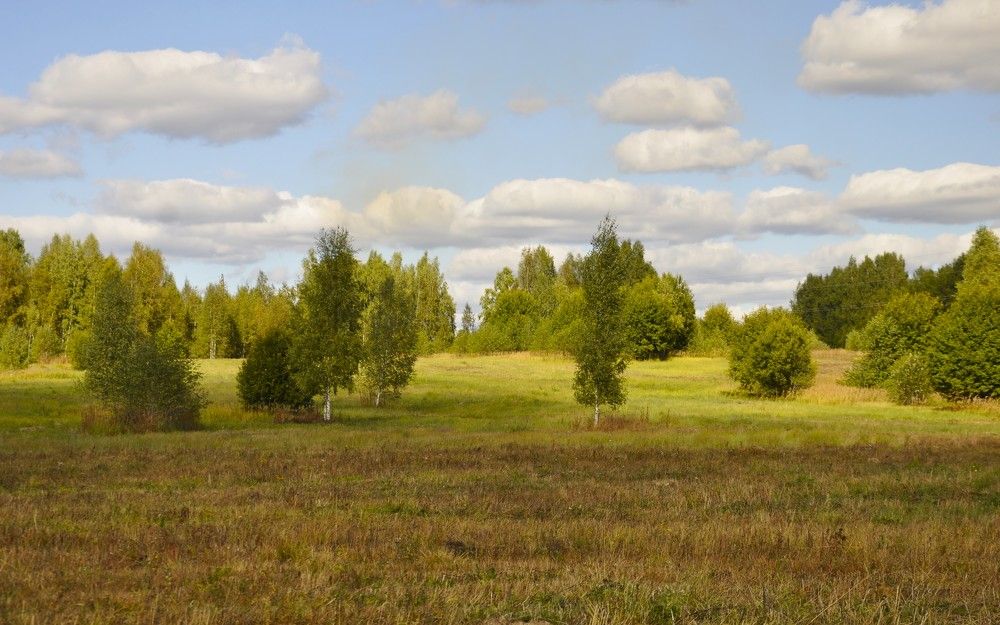 Photograph by Ольга Струкалина