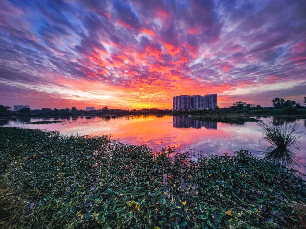 Фотография автора SY THANH LAI