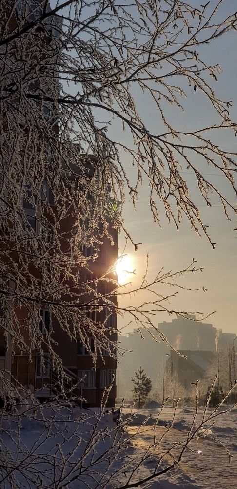 Январское утро