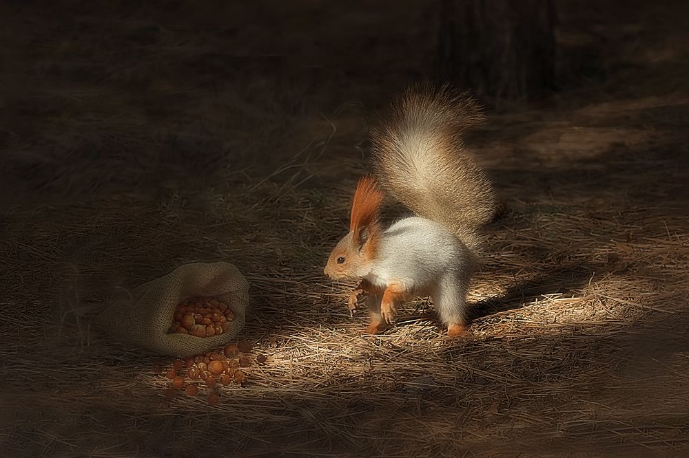 И это все мне?!!!