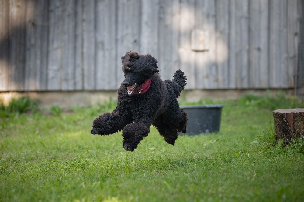 Photograph by Ирина Подгорная