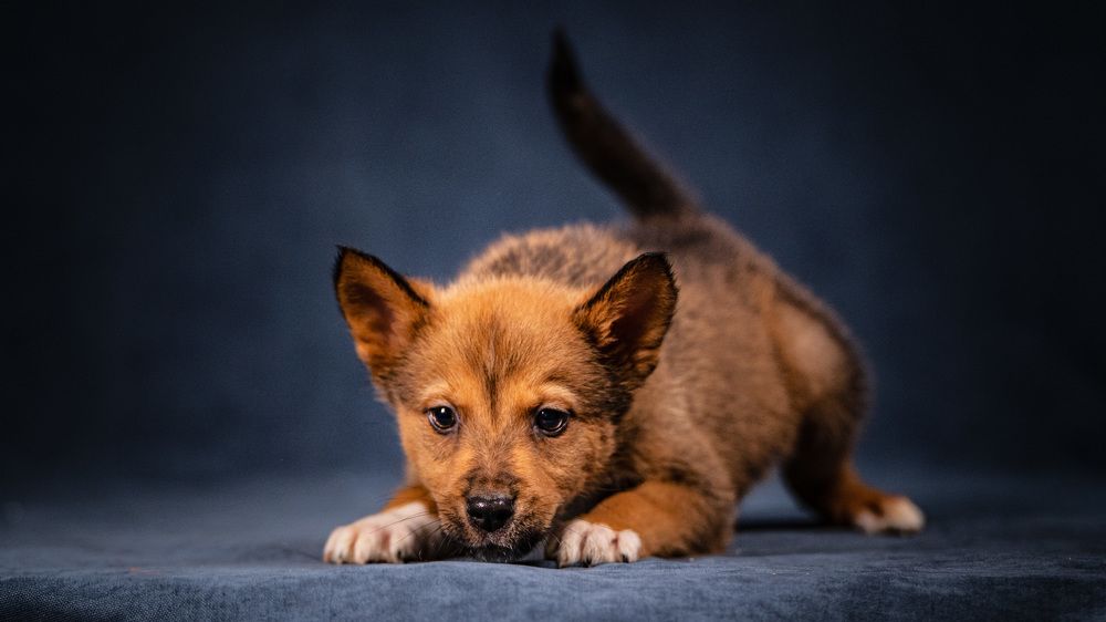 Photograph by Ольга Пачина