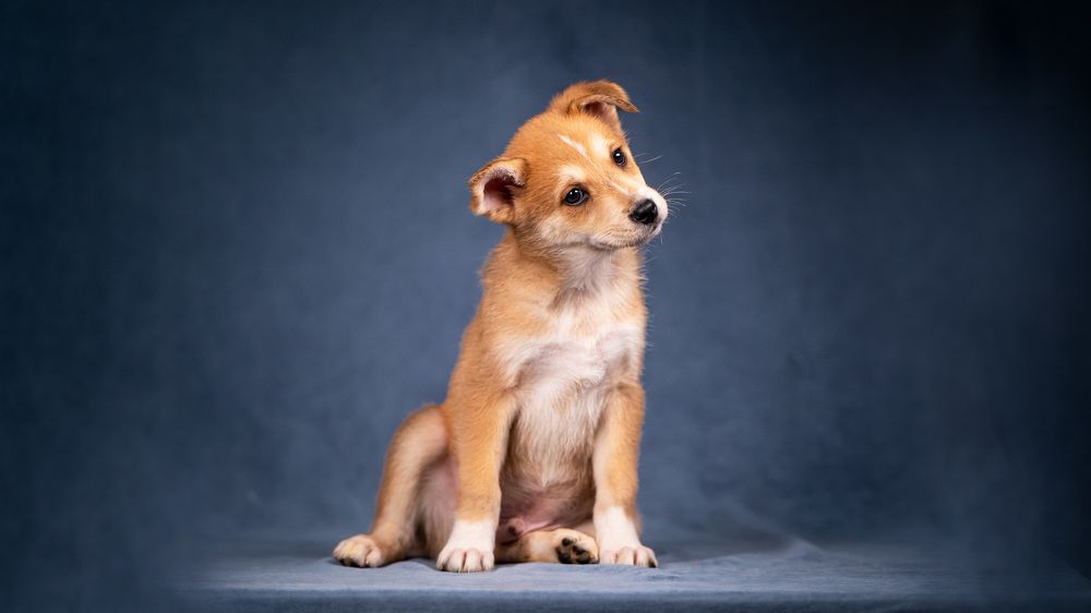 Photograph by Ольга Пачина